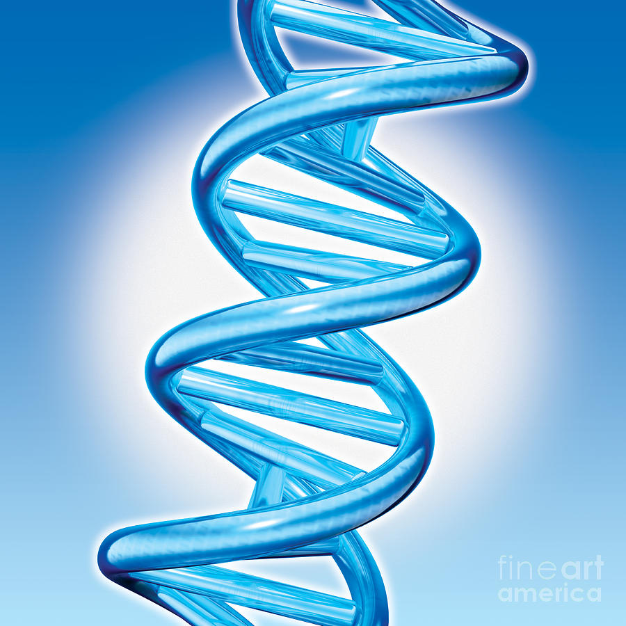 https://4n6.com/wp-content/uploads/2023/07/dna-double-helix-marc-phares-and-photo-researchers.jpg
